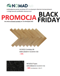 Read more about the article BLACKFRIDAY
